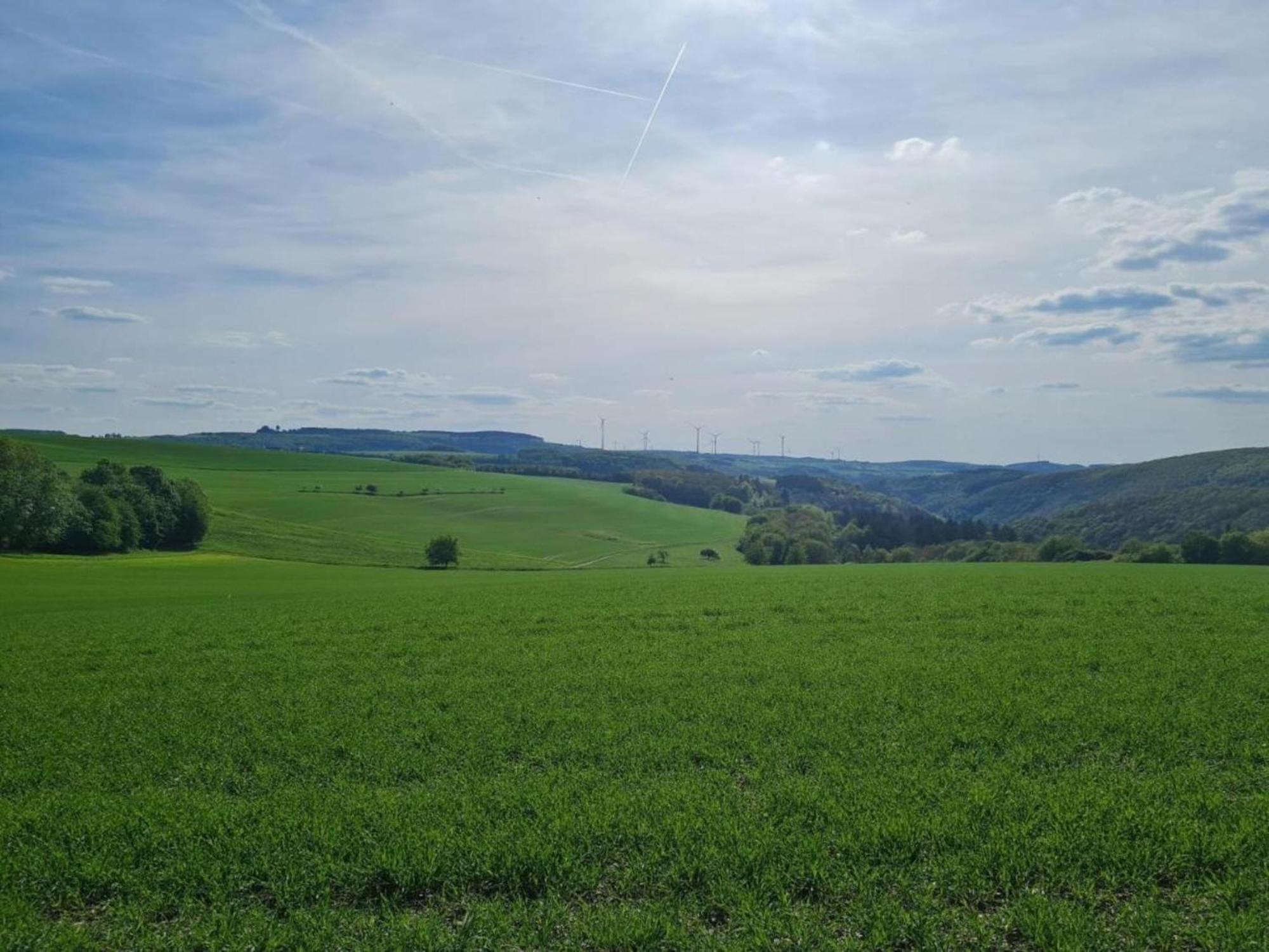 Casa vacanze Tranquil In In The Eifel With Garden